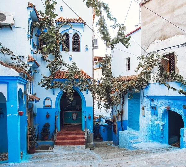 Chefchaouen Blue Escape - Maghrib Explor Paysage bleu